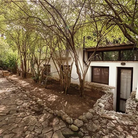 Holiday home Parete Srl - Casa Laghetto Terrasini