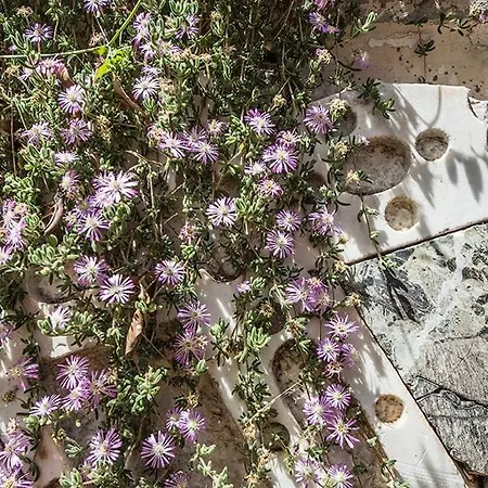 Parete Srl - Casa Laghetto